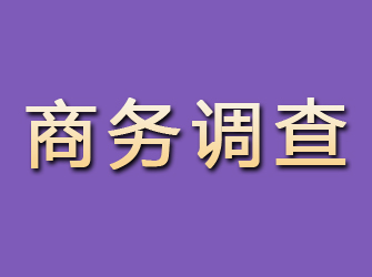 松山商务调查